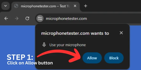 allow microphone to check your microphone